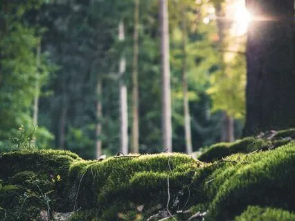 Bedtime Affirmations With JuneB - Grounding