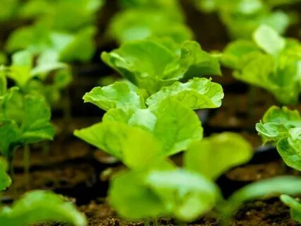 Bedtime Affirmations With JuneB - Increasing Wealth