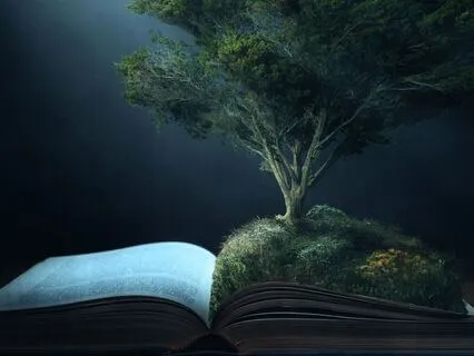 Bedtime Alchemy | The Tree Of Your Life