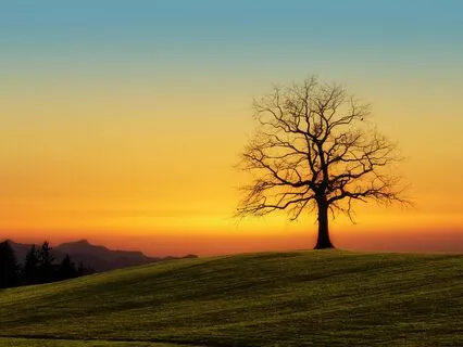 Bedtime Bliss: Sleep Soundly With This Short Rest Meditation