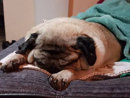 Bedtime Body And Breath Awareness Flow