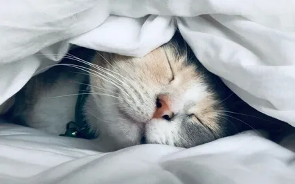 Bedtime Body Scan (Relaxation For Children)