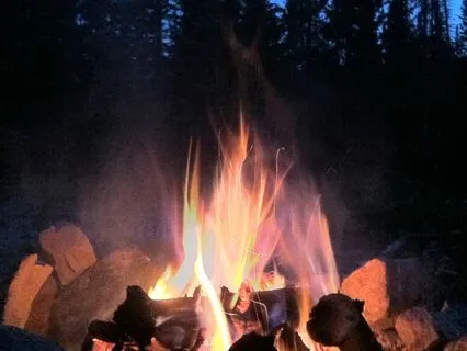 Bedtime Camping in the Forest Experience for Children