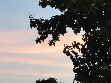 Bedtime Flute Music With Rain And Waterfall