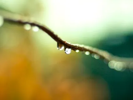 Bedtime Healing For Adults