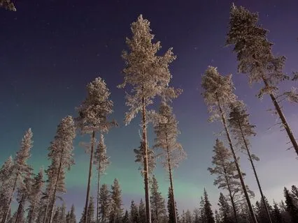 Bedtime Healing Prayer