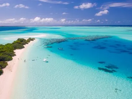 Bedtime Journey To The Enchanted Island Pool Of Awakening