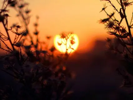 Bedtime Meditation: Sunset Before Sleep