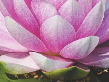 Bedtime Mindfulness Meditation