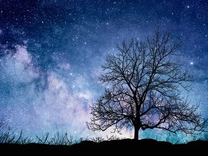 Bedtime Reflection - Come Back To Who You Are