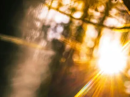 Bedtime Stories For Adults: The Shifting Gallery