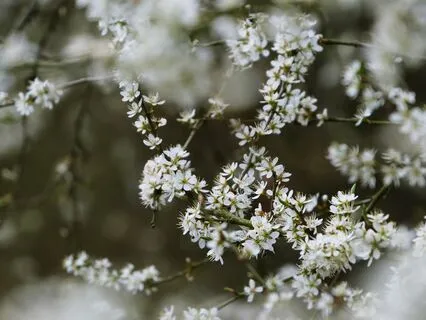 How The Seasons Came To Be