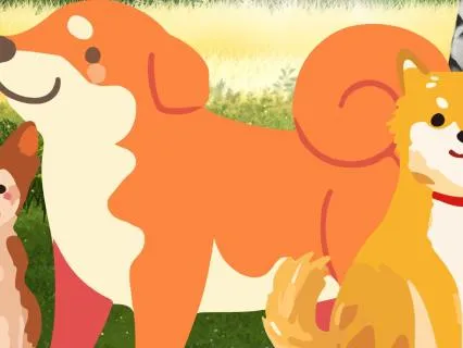 Bedtime Stories With Skipper The Dog-#2-The Woodland Wedding