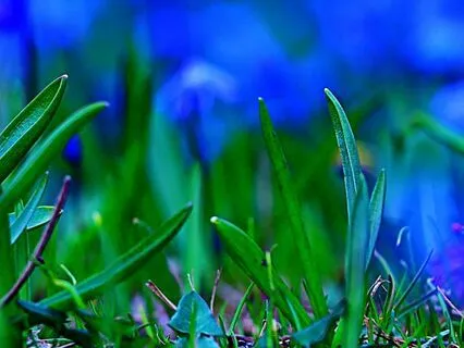 Bedtime Story: A New England Girlhood