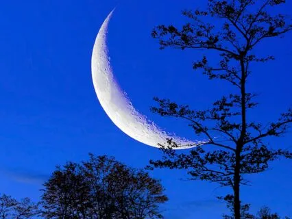 Bedtime Story: Emily Of New Moon Pt. 1