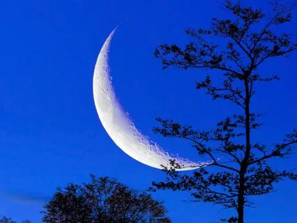 Bedtime Story: Emily Of New Moon Pt. 2