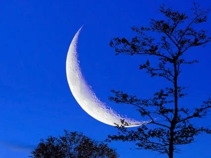 Bedtime Story: Emily Of New Moon Pt. 3