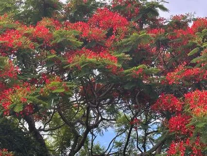 Bedtime Story For Young And Old