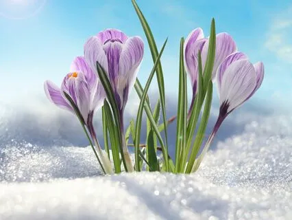 Bedtime Story Of  The Little Girl And The Winter Whirlwinds