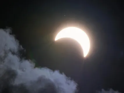 Bedtime Story: Park Ranger Pablo's Cucumbers (Birdsong)