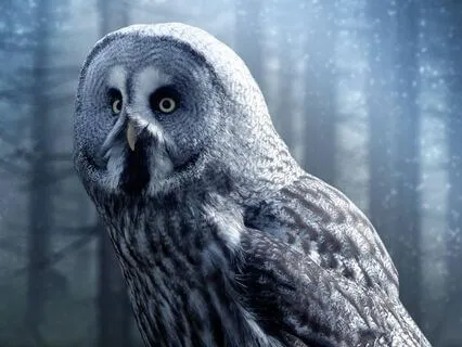 Bedtime Story: Reflections Of The Past: Earth: Chapter 4