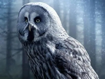 Bedtime Story: Reflections Of The Past: Earth: Chapter 1