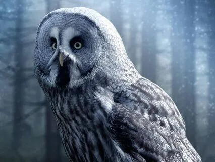 Bedtime Story: Reflections Of The Past: Earth: Chapter 2