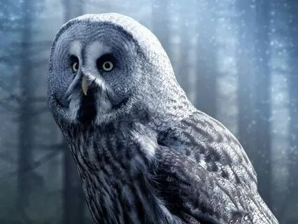 Bedtime Story: Reflections Of The Past: Earth: Chapter 3