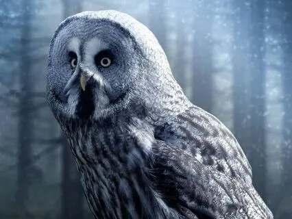 Bedtime Story: Reflections Of The Past: Earth: Chapter 6