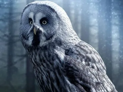 Bedtime Story: Reflections Of The Past: Earth: Chapter 8