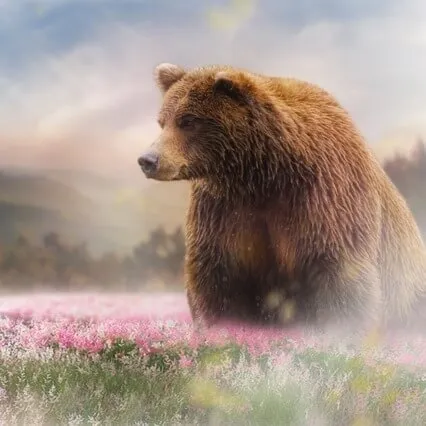 Bedtime Story: Snow White And Rose Red