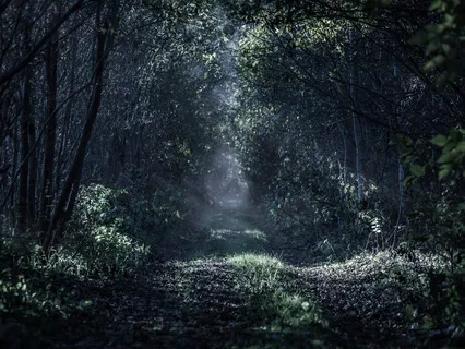 Bedtime Story: Snow White And Rose Red