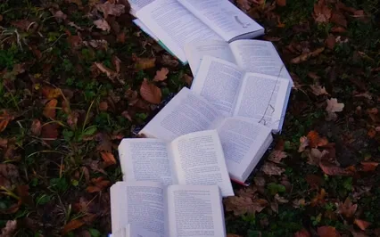 Bedtime Story - Stories For Sleep - Peter Pan Chapter Two