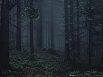 Bedtime Story: The Norka