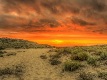 Bedtime Story: The Reluctant Dragon