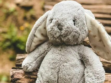 Bedtime Story - The Velveteen Rabbit