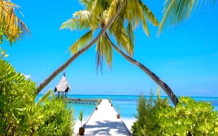 Bedtime Story - Tropical Island - Guided Meditation + Music