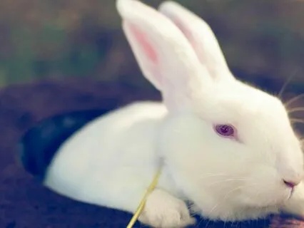 Bedtime Tale: Alice's Adventures In Wonderland Ch 1