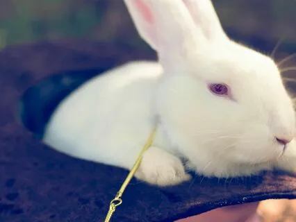 Bedtime Tale: Alice's Adventures In Wonderland Ch 2