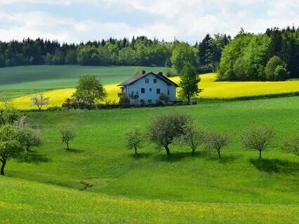 Bedtime Tale: Pollyanna Ch 15