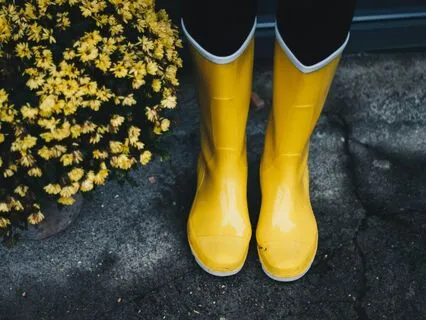 Bedtime Tale: The Galoshes Of Fortune