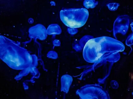 Bedtime Tale: The Water Babies Ch 2/Part 1