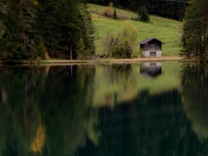 Bedtime Tale: Walden, Chapter 1 Part 1