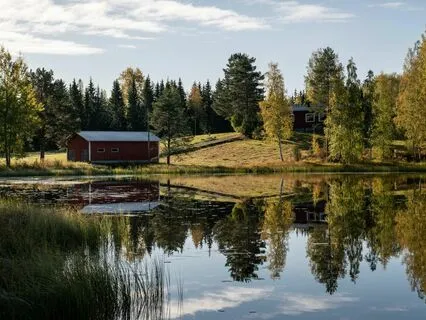 Bedtime Tale: Walden Chapter 1 Part 6