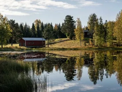 Bedtime Tale: Walden Chapter 1 Part 7