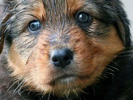 Bedtime Tales With JuneB - An Adventure In The Rain