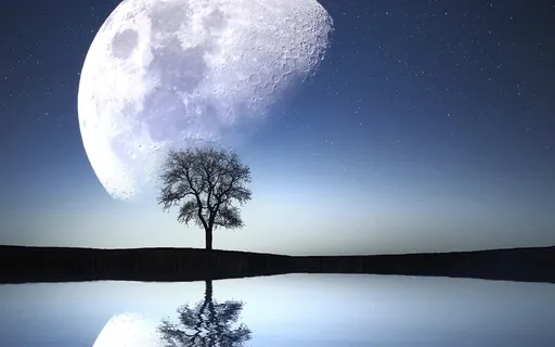 Bedtime Tales With JuneB - Leaves On A Stream