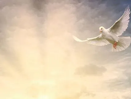 Bedtime Tales With JuneB: Lucid Dream Flying Lesson