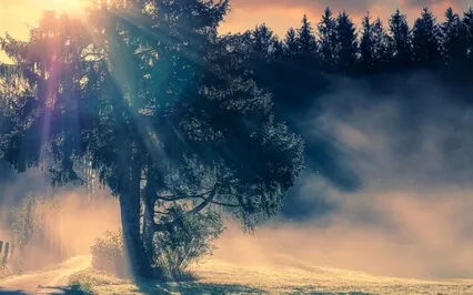 Bedtime Tales With JuneB - Misty Mornings