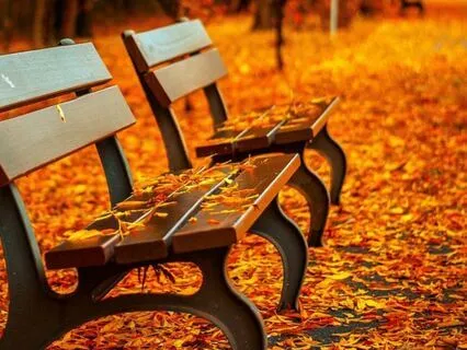 Bedtime Tales With JuneB - The Rustling Leaves